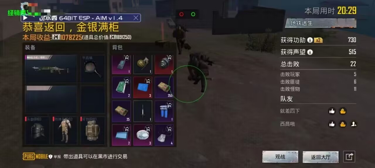 和平精英【锦鲤内核】辅助外挂